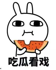 吃瓜娱乐听我说,揭秘娱乐圈幕后故事